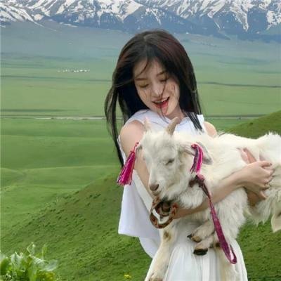 降龙大师