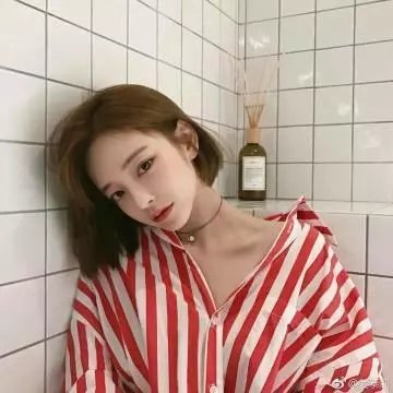 蜘蛛梦魇